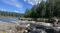 Сплав по Верхней Шуе на байдарках