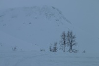 Зимняя Сказка в Хибинах: лыжные прогулки в горах (разведка)