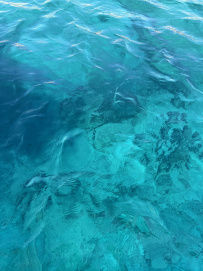 По Ликийской тропе через горы к морю (классический пеший поход)