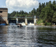 Оредеж — прогулка на байдарках (1 день)
