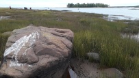 Сплав по реке Воньга и Белое Море на байдарках