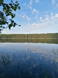 Пеший поход к Московскому морю