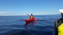 Кемские шхеры и загадочные Кузова. По белому морю на морских каяках (с лодкой)