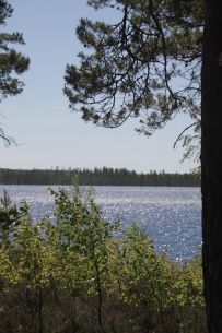 Пеший поход к Зеленодольским озерам