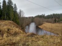 Трекинг по Оредежским берегам