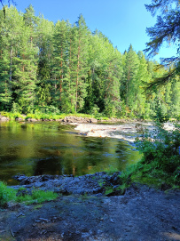 Сплав по реке Шуя