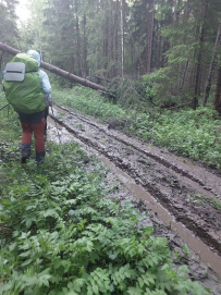 Пеший поход в междуречье Дубны и Волги