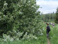 Трекинг по Оредежским берегам