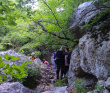 Горный лагерь в Крыму: Байдарская долина