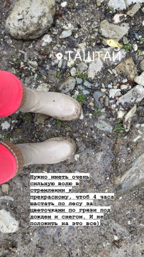 Южное цветочное путешествие: кавказские цикламены и подснежники