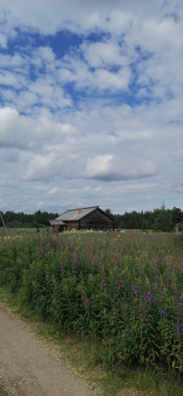 Крыша Карелии (национальный парк Паанаярви)