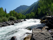 Сплав по реке Катунь