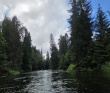 Оредеж — прогулка на байдарках (1 день)