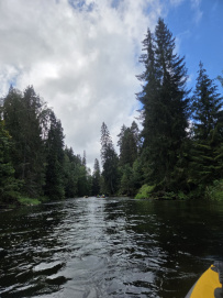 Оредеж — прогулка на байдарках (1 день)