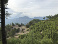 В Сердце Ликийской тропы (Поход вдоль моря, без рюкзаков)