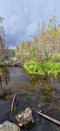 Крыша Карелии (национальный парк Паанаярви)