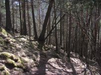 По дорогам древнего Кавказа (из Теберды в Архыз)
