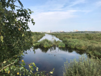 Велопрогулка по парку «Лосиный остров» (Москва)