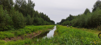 Велопоход из Покрова в Куровское