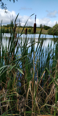 Пеший поход Тула — Ясная поляна (Тульская область)
