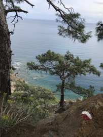 В Сердце Ликийской тропы (Поход вдоль моря, без рюкзаков)