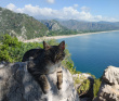 В Сердце Ликийской тропы (Поход вдоль моря, без рюкзаков)