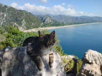 В Сердце Ликийской тропы (Поход вдоль моря, без рюкзаков)