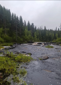 Сплав и рыбалка на реках Индель, Пана и Варзуга (рыболовный маршрут)