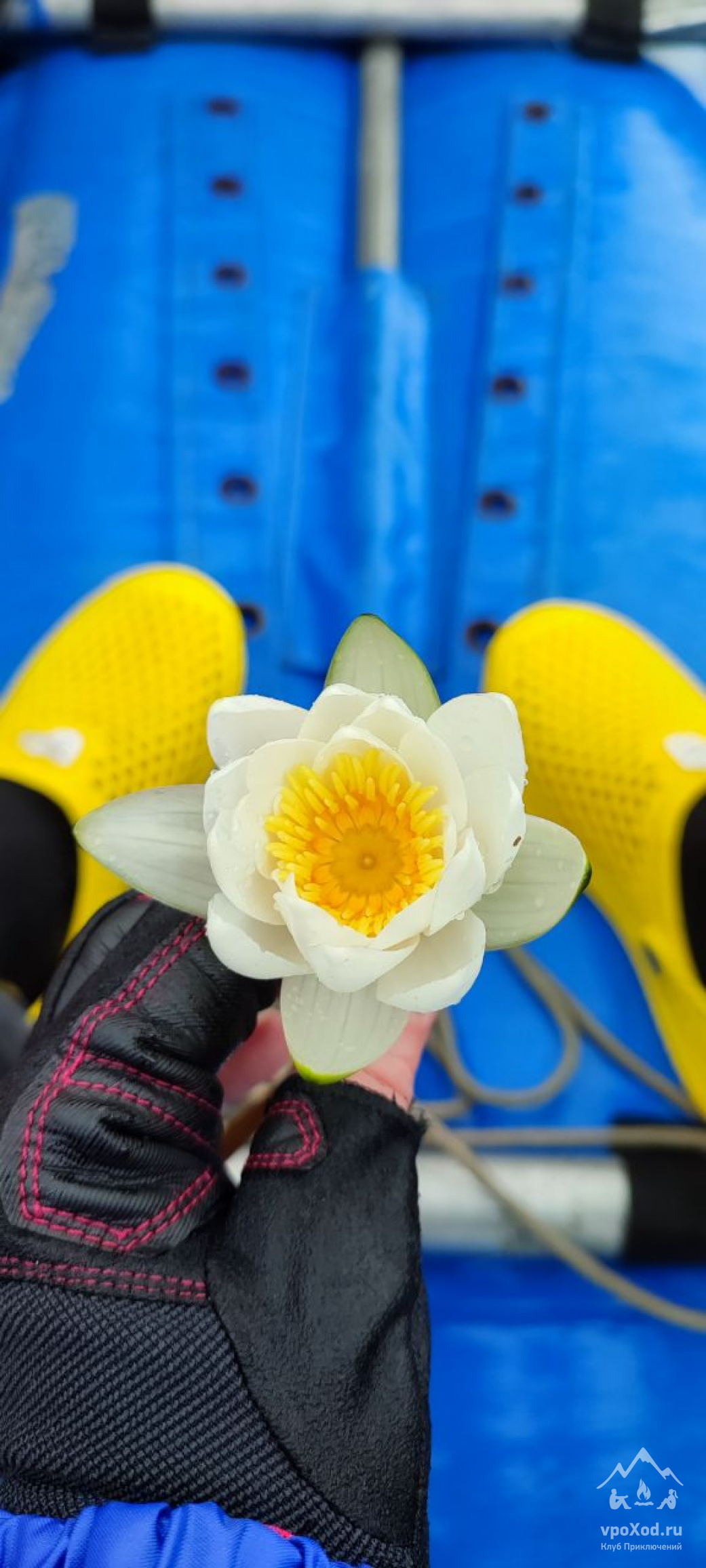 Сплав по реке Кереть и Белое море