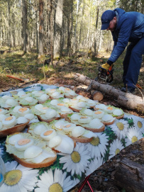 Сплав по реке Китенйоки