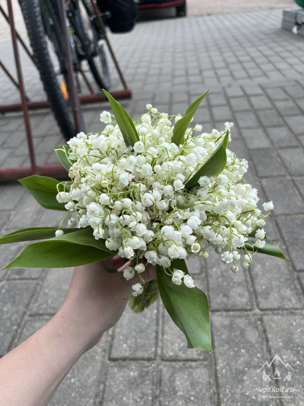 Под белыми крыльями: Знакомство с Беларусью на велосипеде