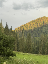 Сплав по рекам Кумир и Коргон с конной заброской