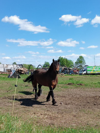 Пеший поход «Край покинутых деревень»