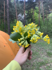 Пеший поход по стране гор и башен