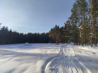 Лыжная тренировка в Ленобласти