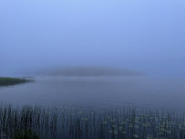 Водное ассорти с детьми: на лодках, байдарках, сапах