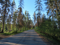 ВелоВалдай налегке