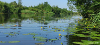 Дорогой новгородских купцов. Велопоход