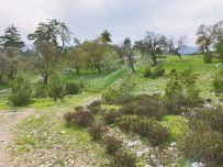 В Сердце Ликийской тропы (Поход вдоль моря, без рюкзаков)