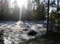 Сплав по реке Шуя на майские
