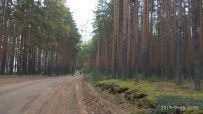 Велопоход из Конаково в Тверь (Тверская область)
