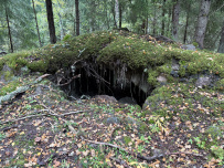 Далекий финский берег