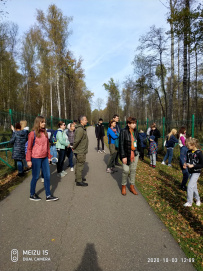 Однодневный пеший поход «В гости к зубрам» (Подмосковье)
