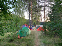 Сплав по реке Шуя