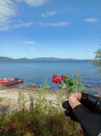 Колвица на морских каяках (байдарках). Путешествие на землю Саамов