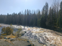 Сплав по реке Шуя Беломорская