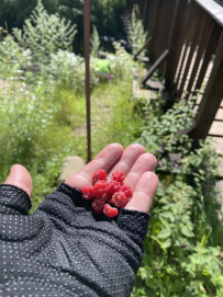 Семейный велопоход по Карельскому перешейку
