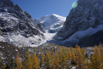 Горный лагерь в Актру (проживание в домиках)