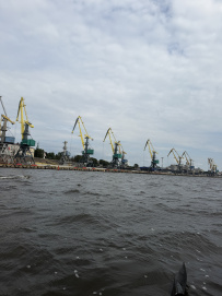 Прогулка вокруг парка Монрепо на каяках (байдарках)