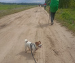 Шёпот мещёрских лесов да гладь озёр